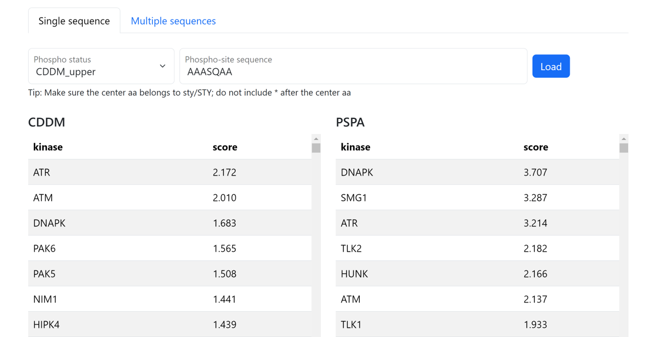 Predict kinase on sequence